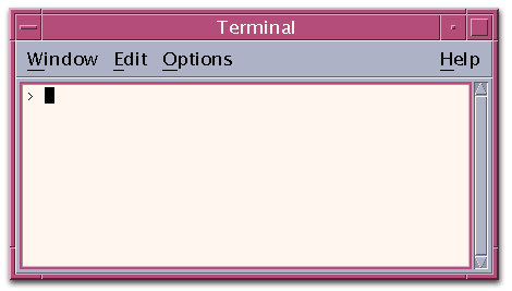 Screen shot of Unix shell
